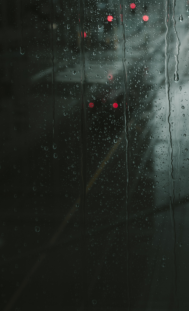 ชนกนันท์ รวมทรัพย์