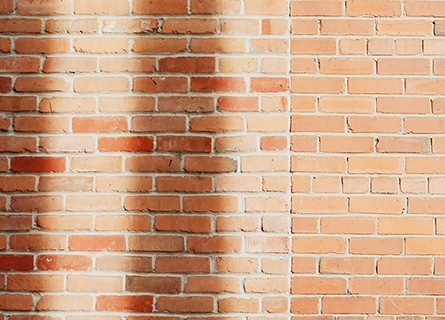 ชนกนันท์ รวมทรัพย์