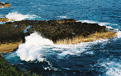 เบนจา อะปัญ