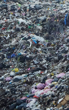 ภาณุพงศ์ จาดนอก